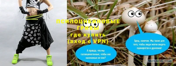 ПСИЛОЦИБИНОВЫЕ ГРИБЫ Балабаново