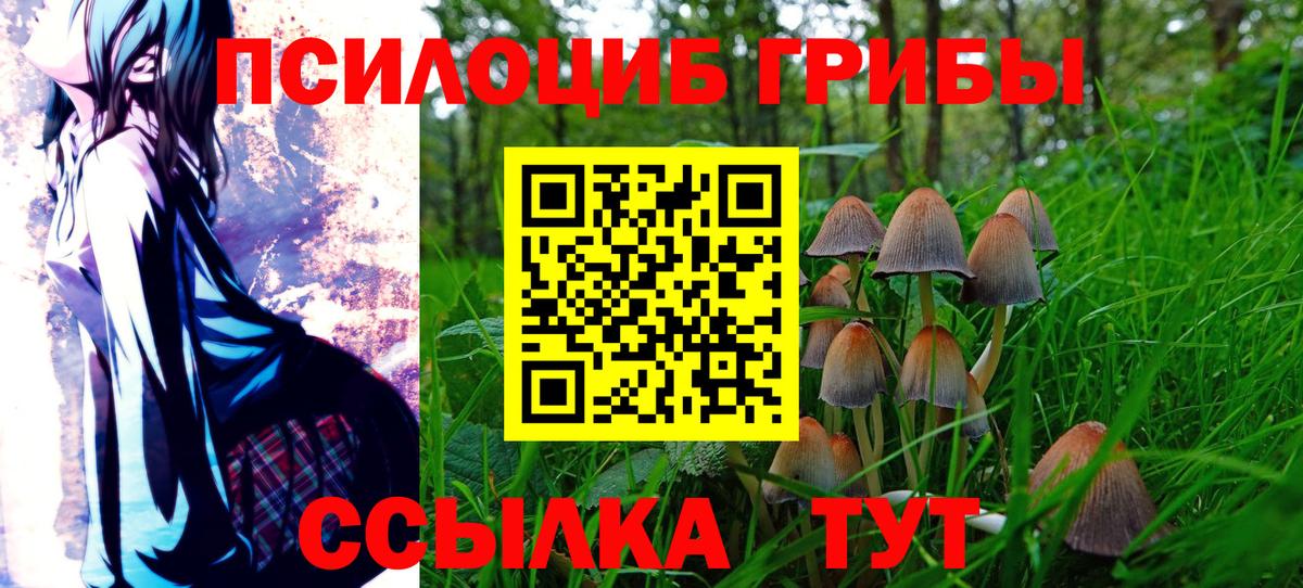 Балабаново  Галлюциногенные грибы мухоморы  Вход с VPN 
