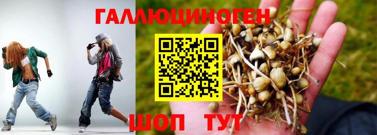 Галлюциногенные грибы MAGIC MUSHROOMS Балабаново
